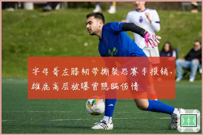 字母哥左膝韧带撕裂恐赛季报销，雄鹿高层被曝曾隐瞒伤情