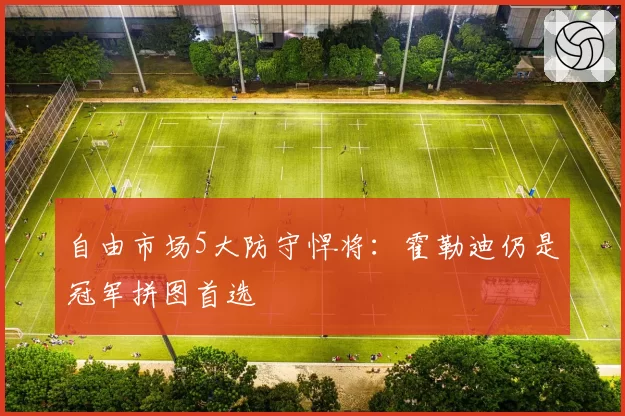 自由市场5大防守悍将：霍勒迪仍是冠军拼图首选