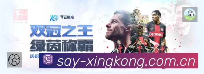 XINGKONG星空体育全球APP 官方推荐图